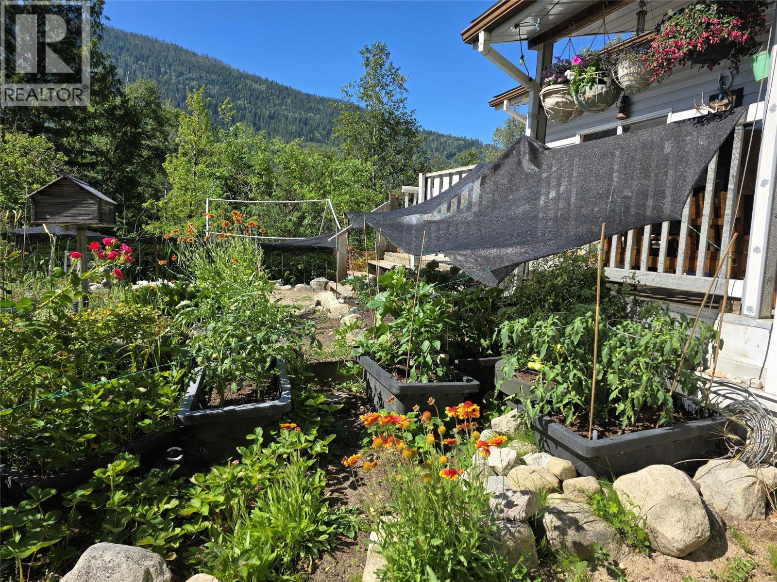 175 Grohman Creek Road - 33