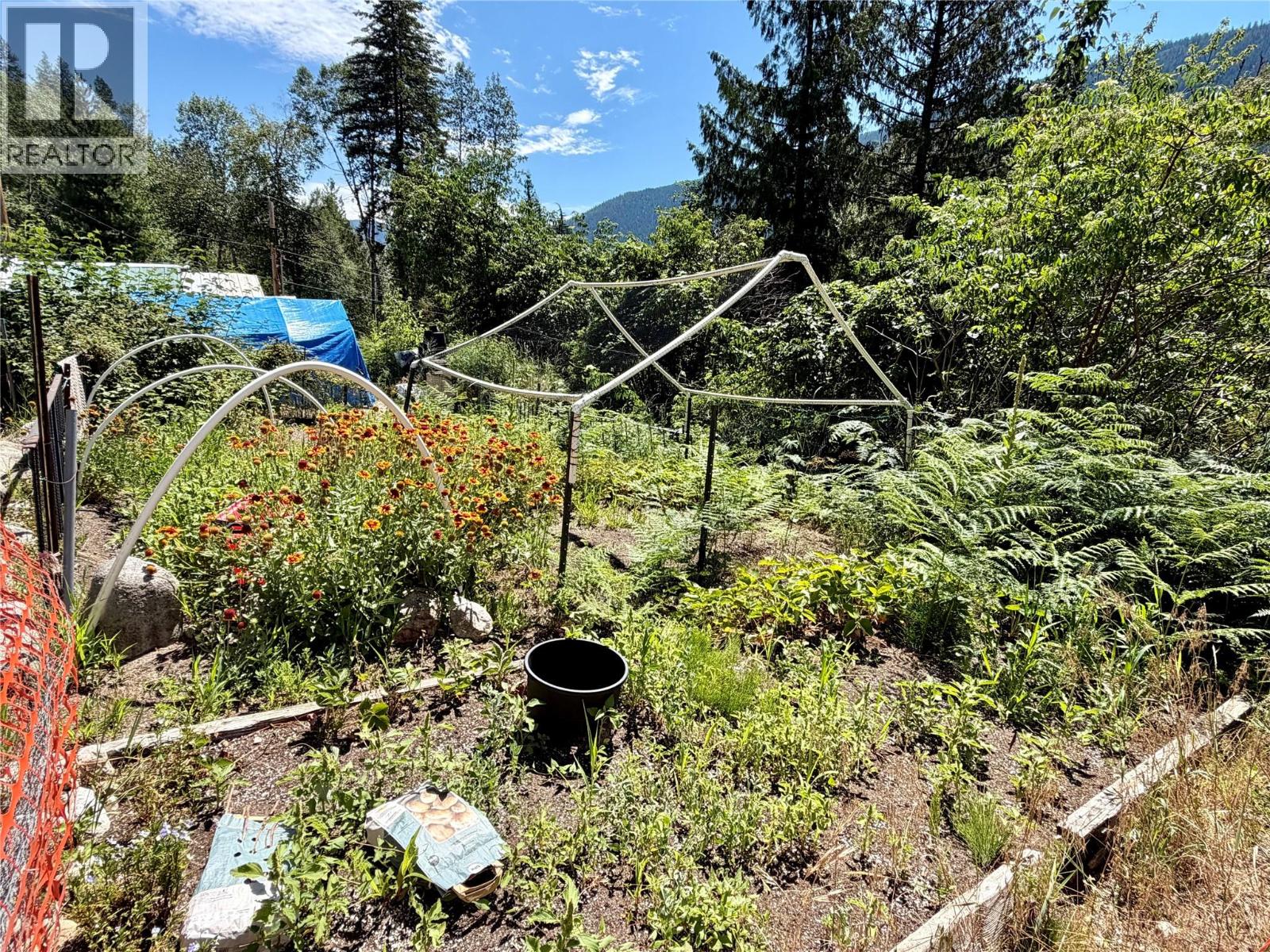 175 Grohman Creek Road - 29