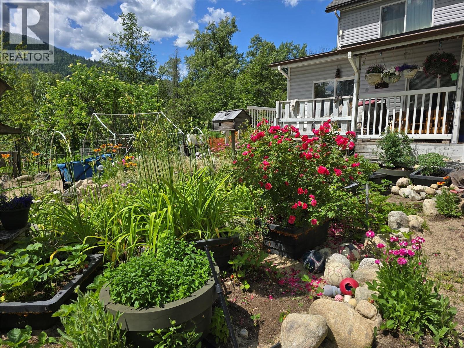 175 Grohman Creek Road - 36