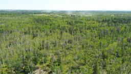 55069 Davis Point Road, St Martin, MB R0C2T0 Photo 33