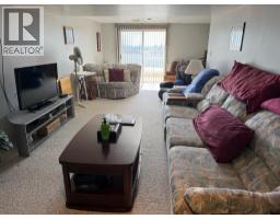 13 Assiniboine Drive, Swan Hills, AB T0G2C0 Photo 14
