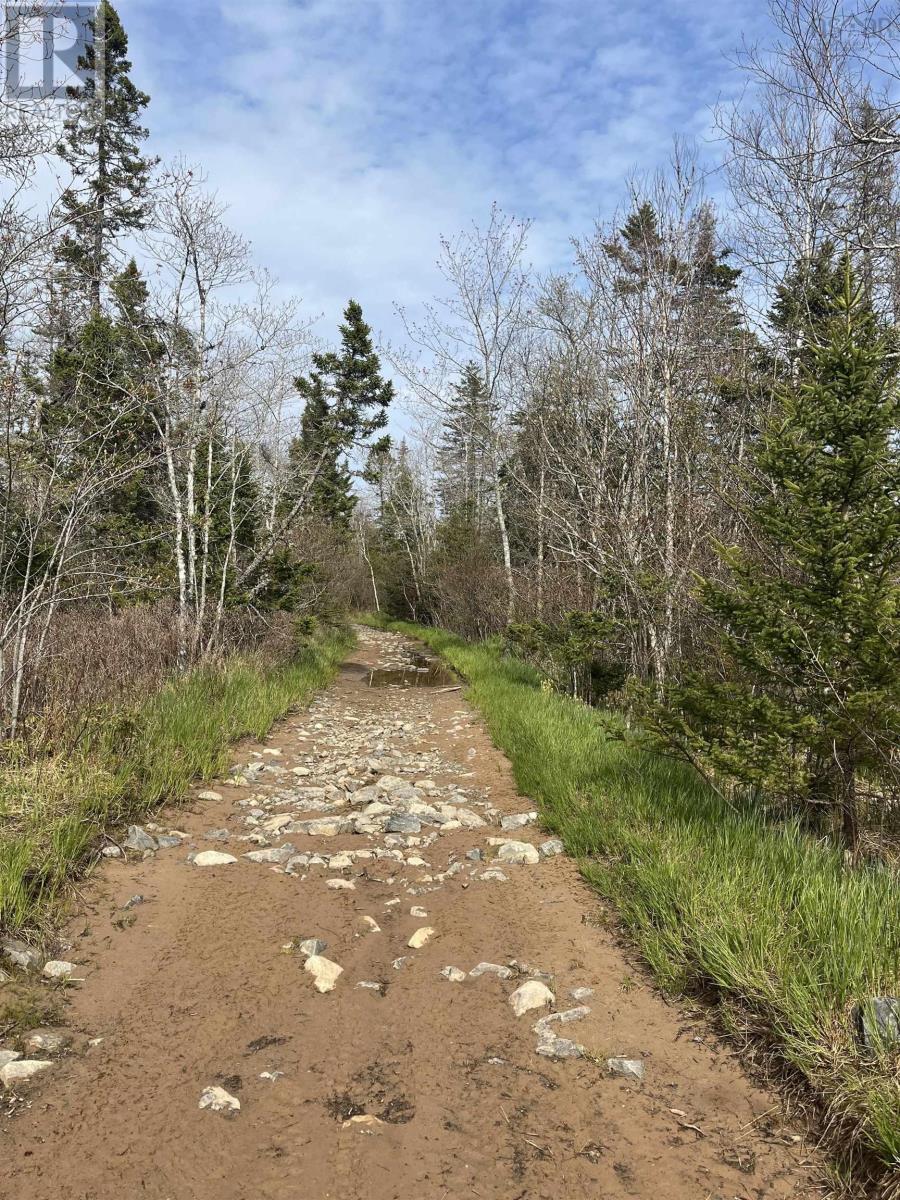 Property 14 of 28 of Lot 3 Old Mineville Road