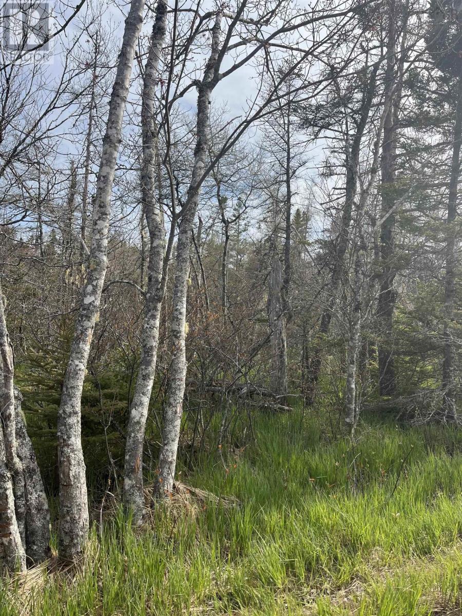 Property 13 of 28 of Lot 3 Old Mineville Road