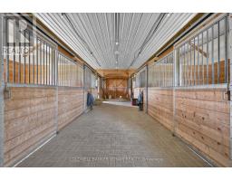 1604 Concession Rd 8, Adjala Tosorontio, ON L0G1W0 Photo 36