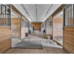 1604 Concession Rd 8, Adjala Tosorontio, ON L0G1W0 Photo 37