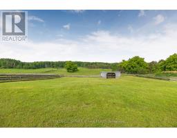 1604 Concession Rd 8, Adjala Tosorontio, ON L0G1W0 Photo 40