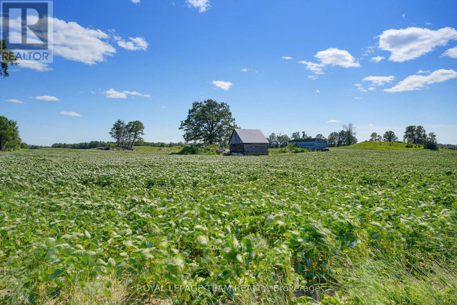 547 MALLOY ROAD - Image 37