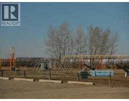 119 3 Avenue W, Hussar, AB T0J1S0 Photo 35