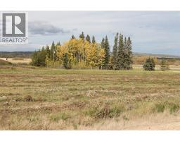 9001 90 Street, Sexsmith, AB T0H3C0 Photo 9