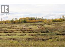 9001 90 Street, Sexsmith, AB T0H3C0 Photo 10