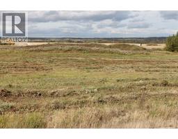 9001 90 Street, Sexsmith, AB T0H3C0 Photo 8