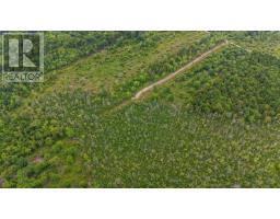 Lot East Concession Road, Lower Concession, NS B0W1M0 Photo 6