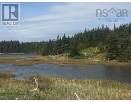 Grand Gully Island, River Tillard, NS B0E2X0 Photo 29