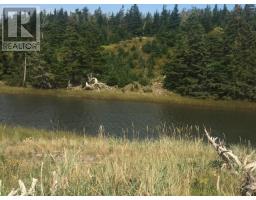 Grand Gully Island, River Tillard, NS B0E2X0 Photo 37