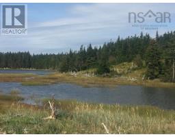 Grand Gully Island, River Tillard, NS B0E2X0 Photo 38