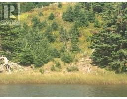 Grand Gully Island, River Tillard, NS B0E2X0 Photo 39
