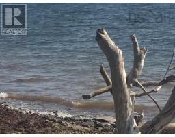 Grand Gully Island, River Tillard, NS B0E2X0 Photo 40