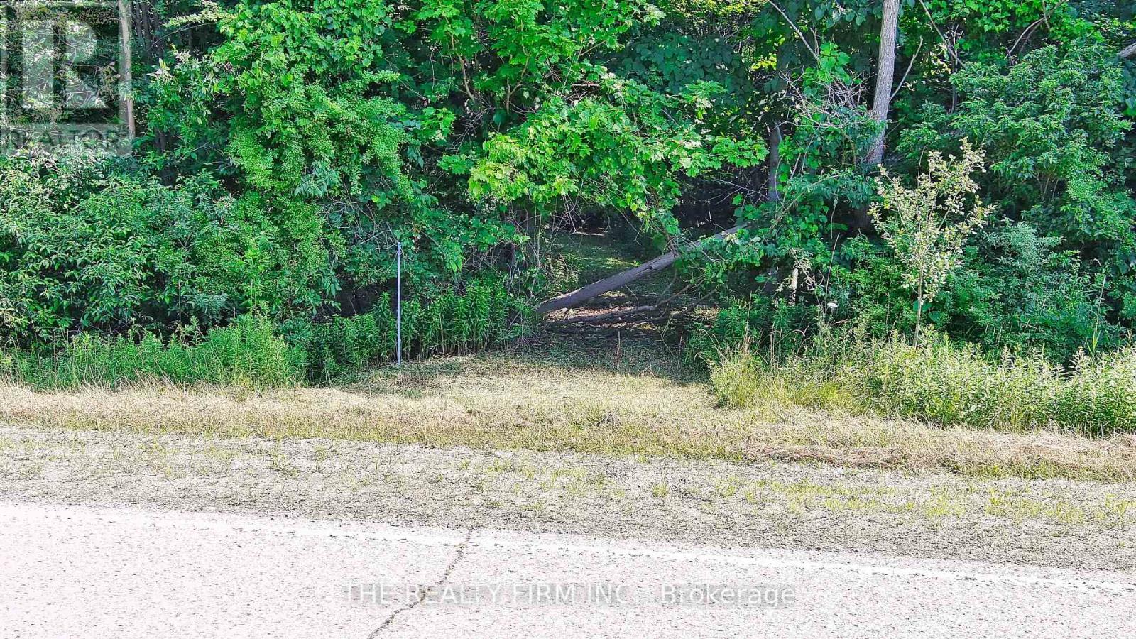 3210 OLD DEXTER LINE, Central Elgin — photo 3