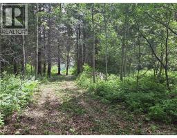 5158 Rte 108, Millerton, NB E1V5B7 Photo 15