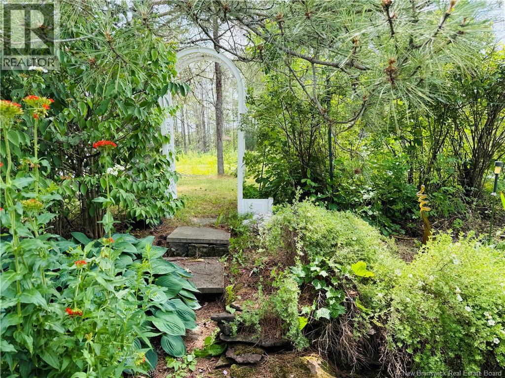 21 Horton Creek Road - 9