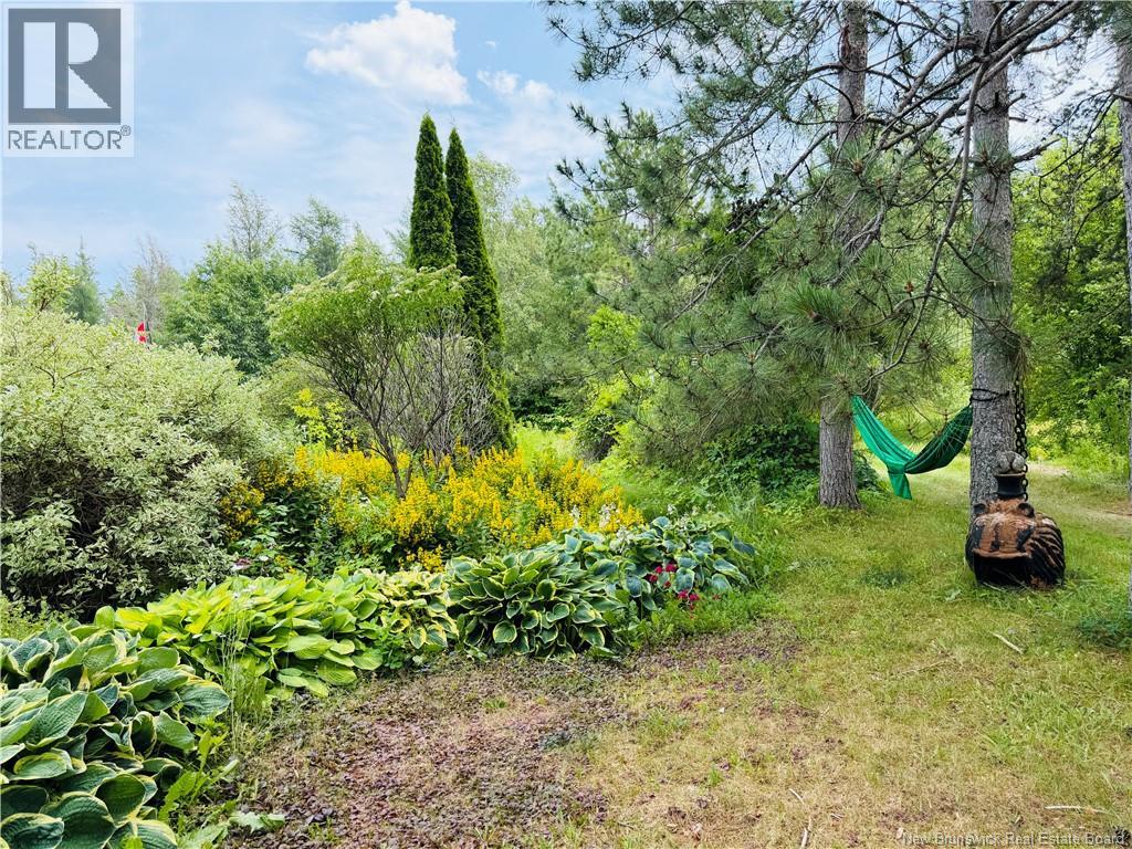 21 Horton Creek Road - 23