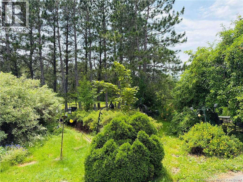 21 Horton Creek Road - 24