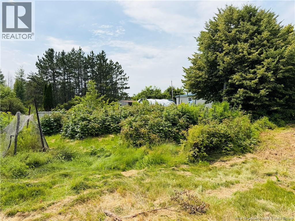21 Horton Creek Road - Image 26