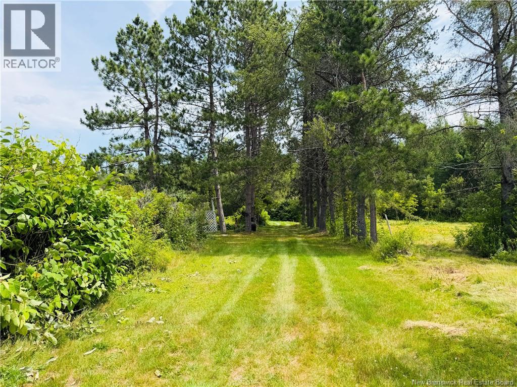 21 Horton Creek Road - Image 28
