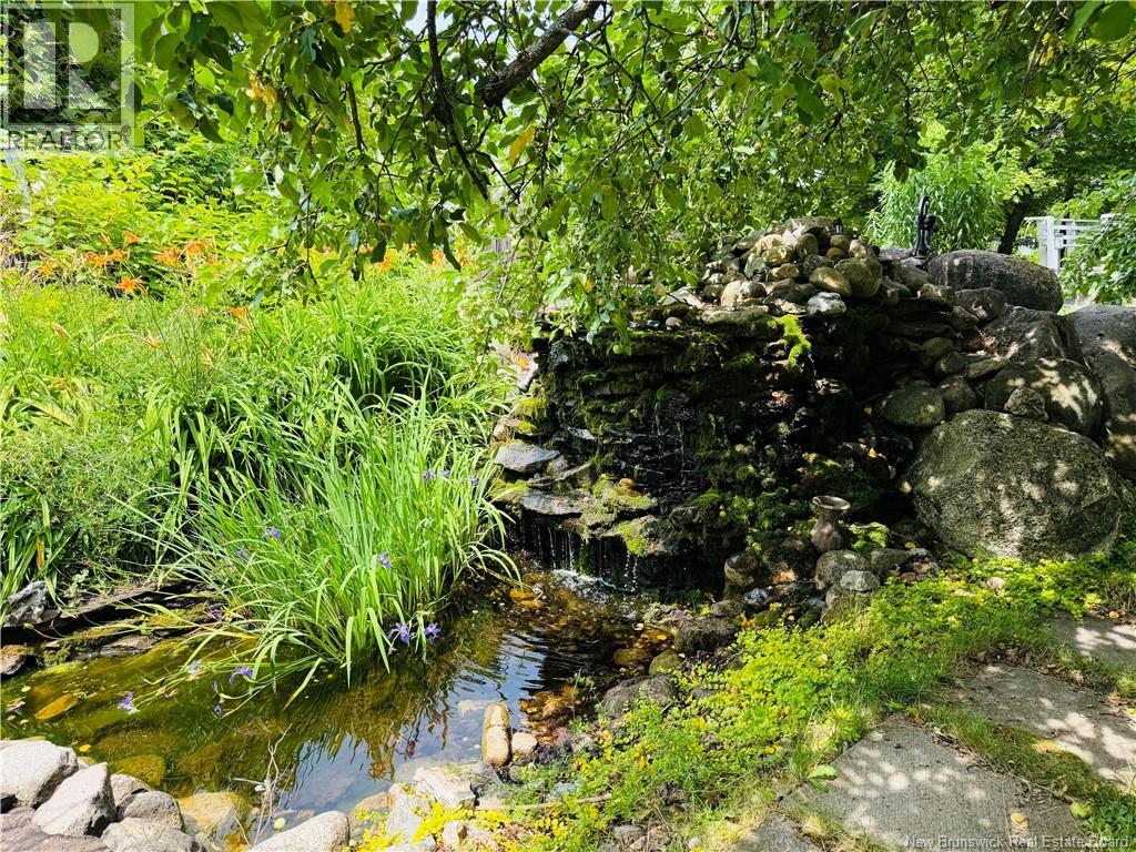 21 Horton Creek Road - Image 6