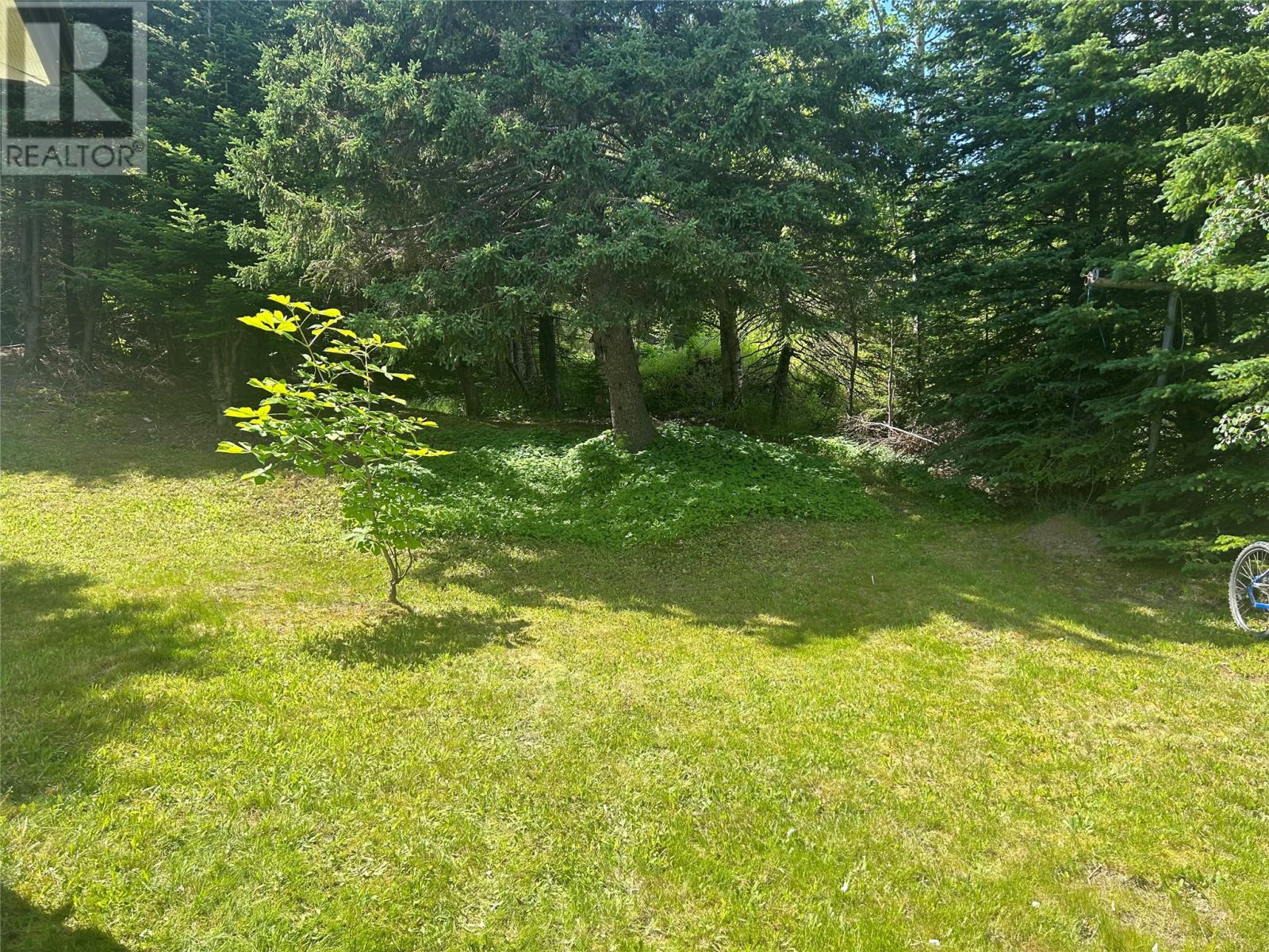 92 Memorial Drive, Clarenville — photo 9