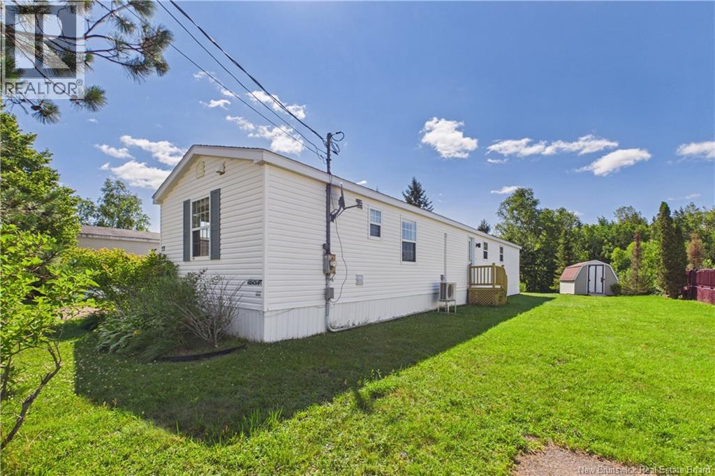 53 Andre - Image 6