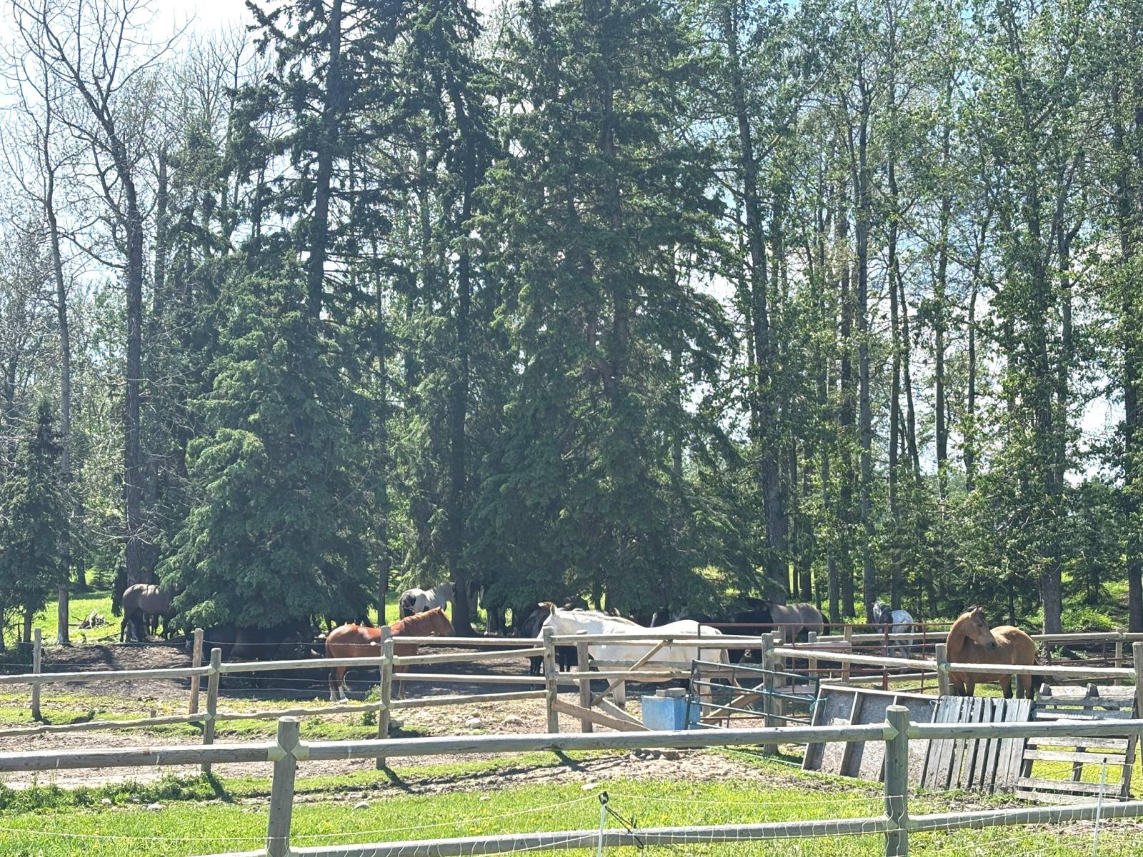 411048C Buster Creek Road - Photo 18