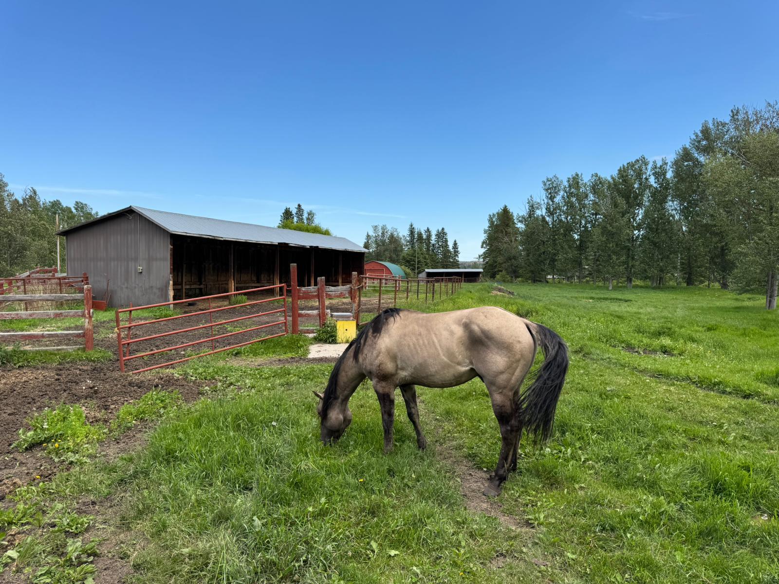 411048C Buster Creek Road - Photo 19