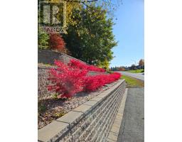 1 Forest Hill Road, South Stormont, ON K0C1P0 Photo 47