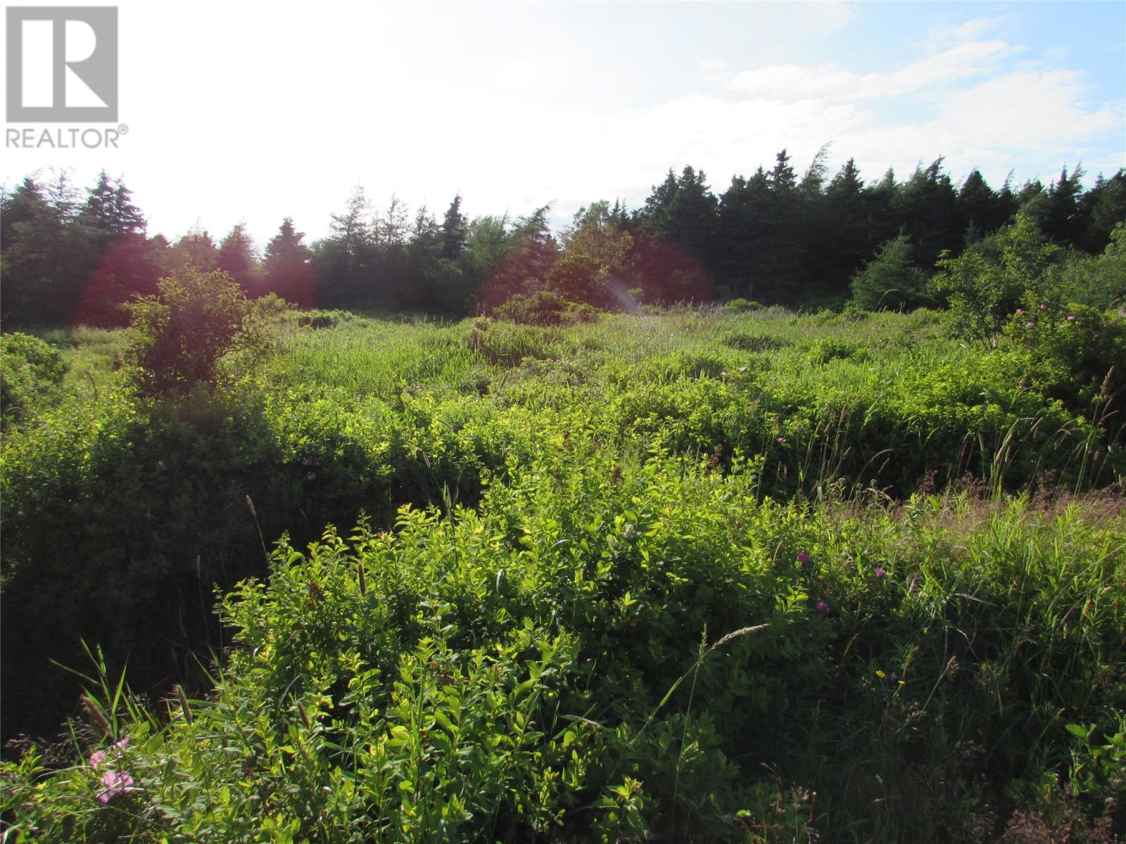 16 A Salmonier Line thumbnail 15