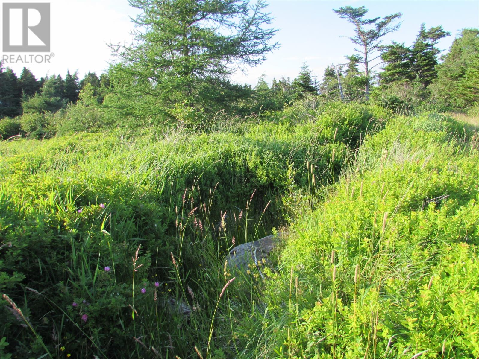 16 A Salmonier Line thumbnail 4