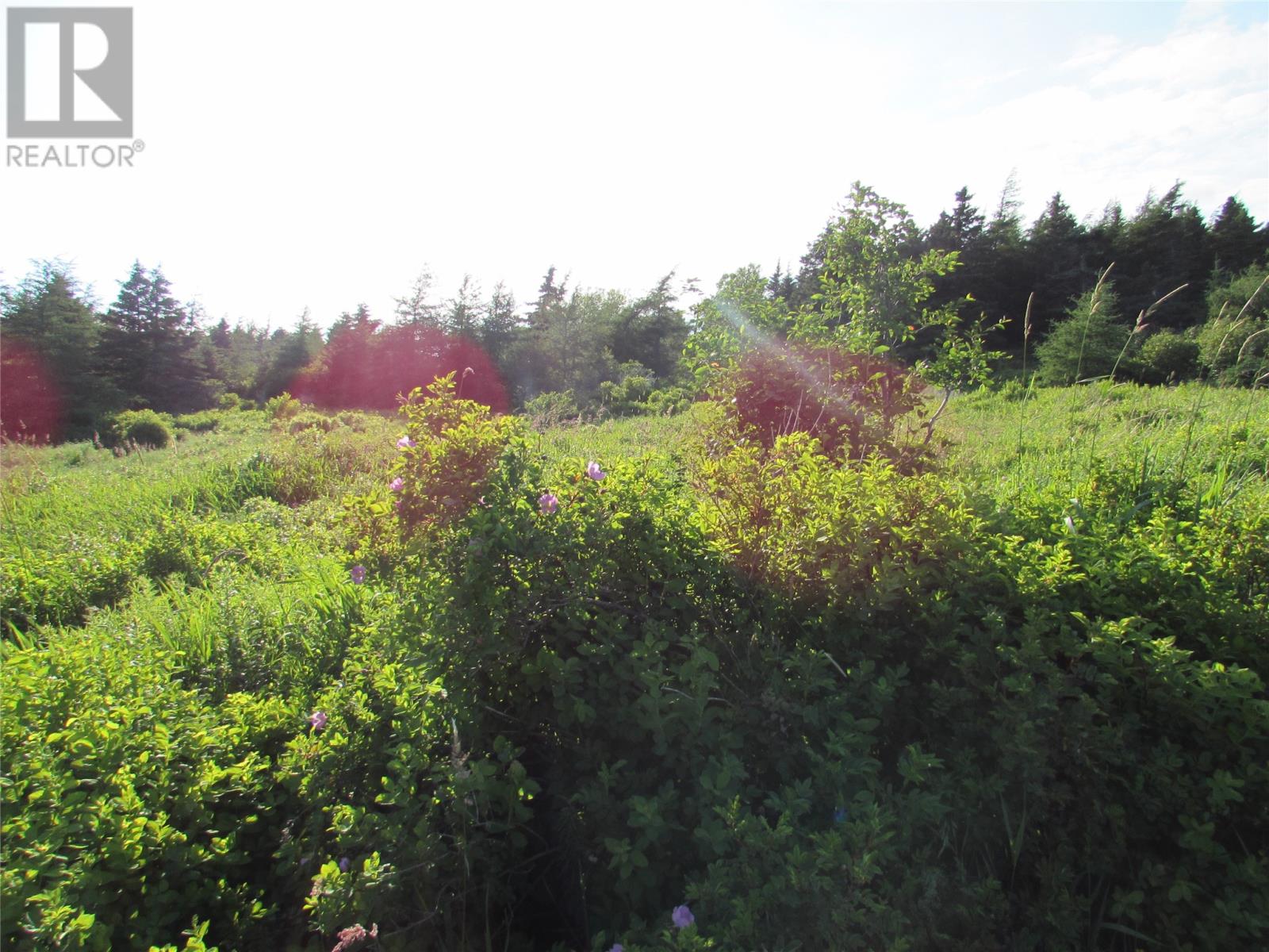 16 A Salmonier Line thumbnail 6