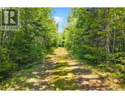 Camp/lot Dufferin Road, Chipman, NB O0O0O0 Photo 10