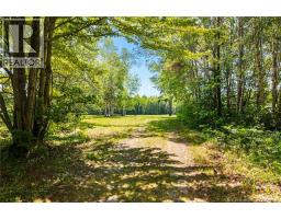 Camp/lot Dufferin Road, Chipman, NB O0O0O0 Photo 11