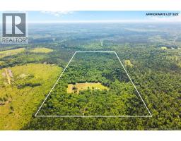 Camp/lot Dufferin Road, Chipman, NB O0O0O0 Photo 9