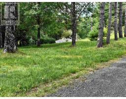 656 Milbury Lake Road, Youngs Cove, NS B0S1L0 Photo 29