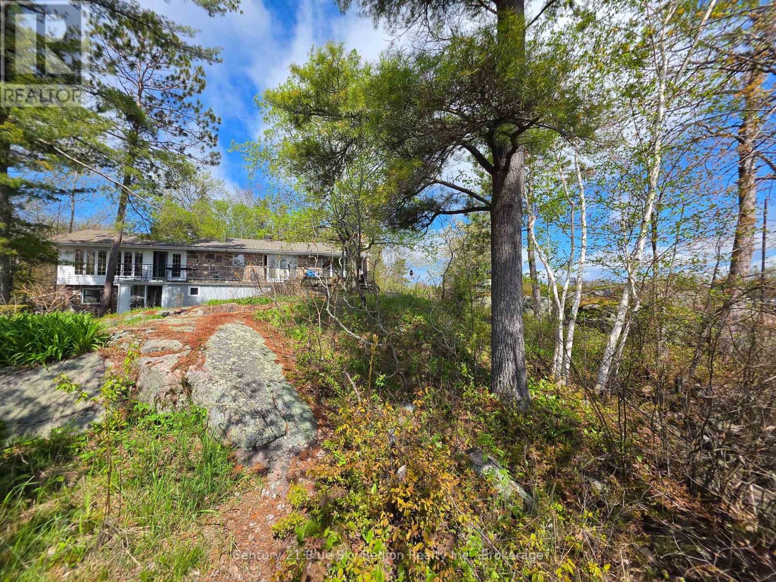72 ARBOUR ROAD - 27