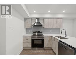 Laundry room - B - 1229 Shillington Street, Ottawa, ON K1Z6K6 Photo 8