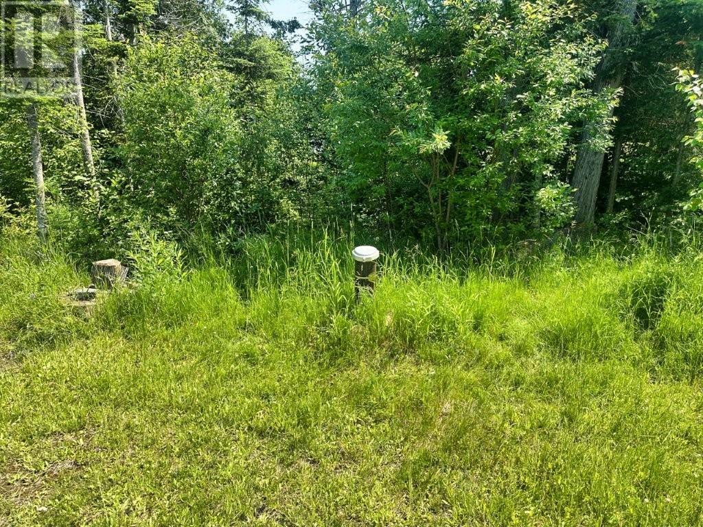 303 Loon Lake Road W - 43