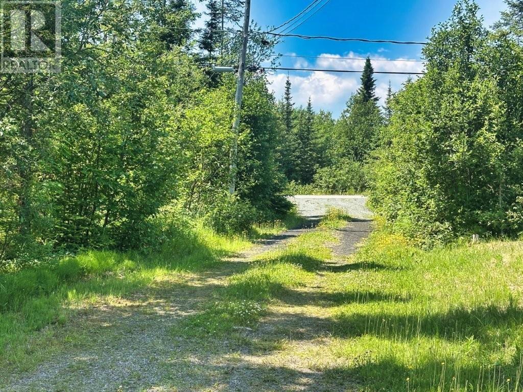 303 Loon Lake Road W - 9