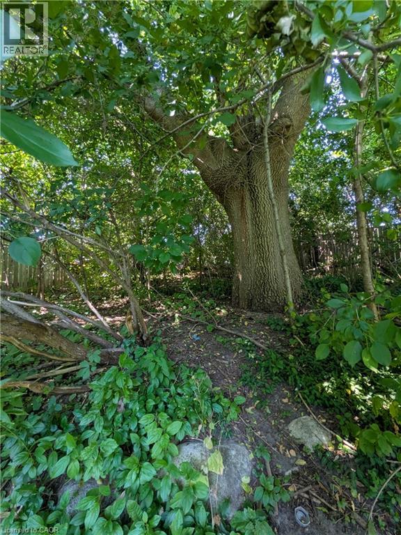 435A MIDWOOD Crescent - 32