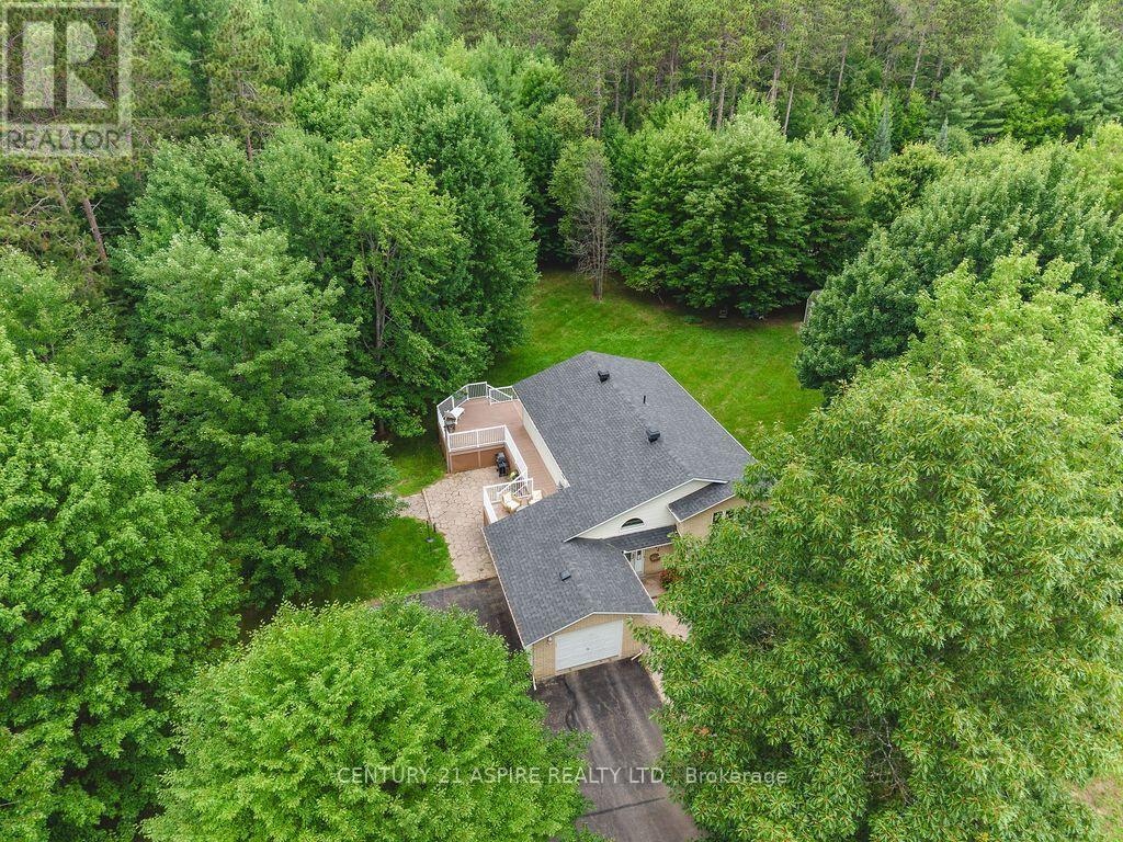 23 CARDINAL CRESCENT - 43