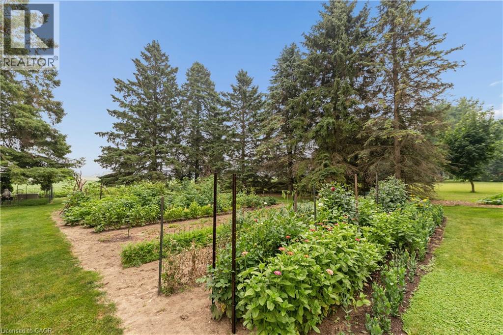 7323 SIDEROAD 15 - Image 46