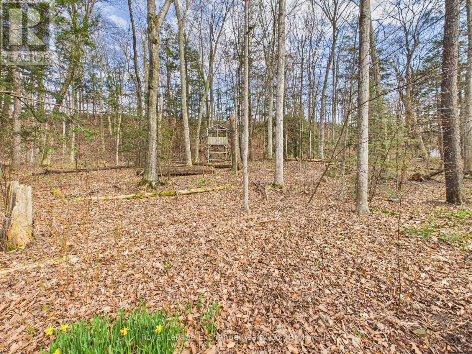 32 BLAIRS TRAIL - 21