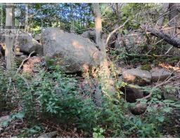 Lot Fraser Road, Princedale, NS B0S1G0 Photo 14